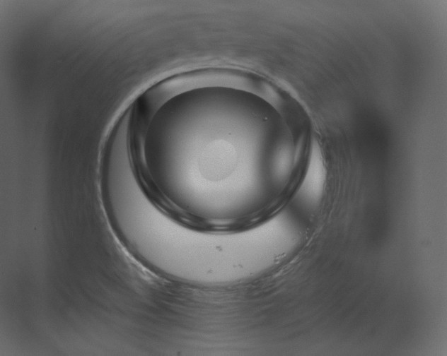 X0000070181508200605301338