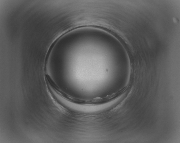 X0000070181513200605301338