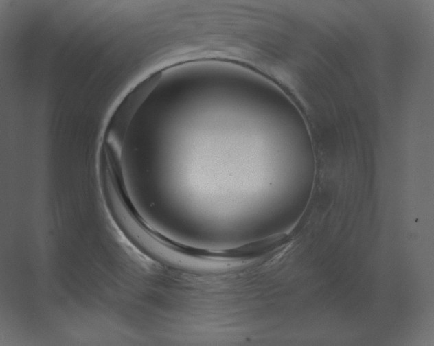 X0000070181516200605301338