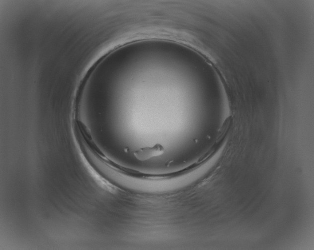 X0000070181523200605301338