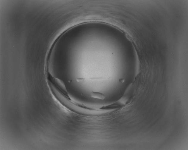 X0000070181527200605301338
