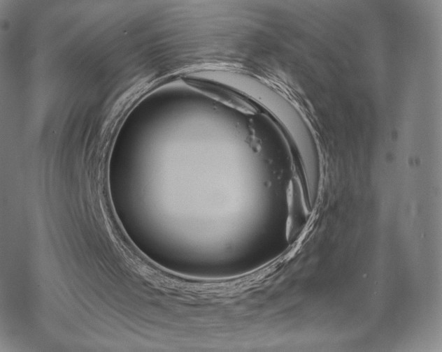 X0000070180001200606021044