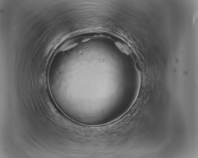 X0000070180002200606021044