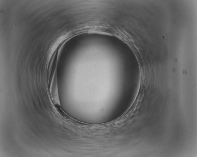 X0000070180003200606021044