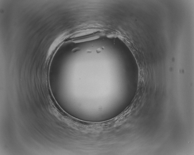 X0000070180004200606021044