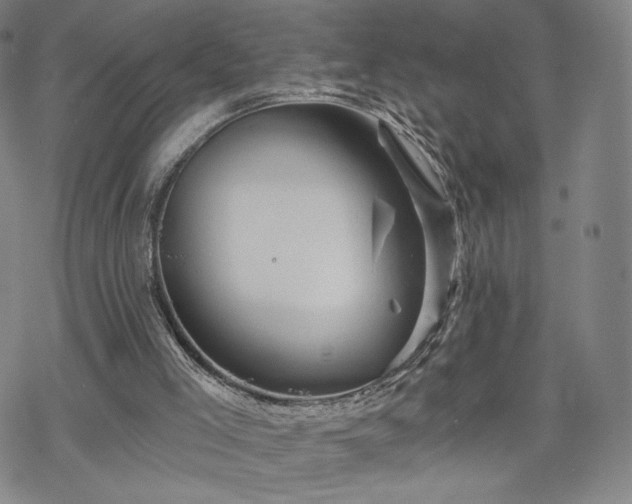 X0000070180005200606021044