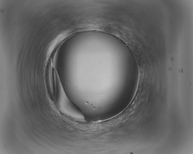 X0000070180006200606021044