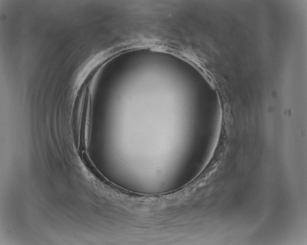 X0000070180007200606021044