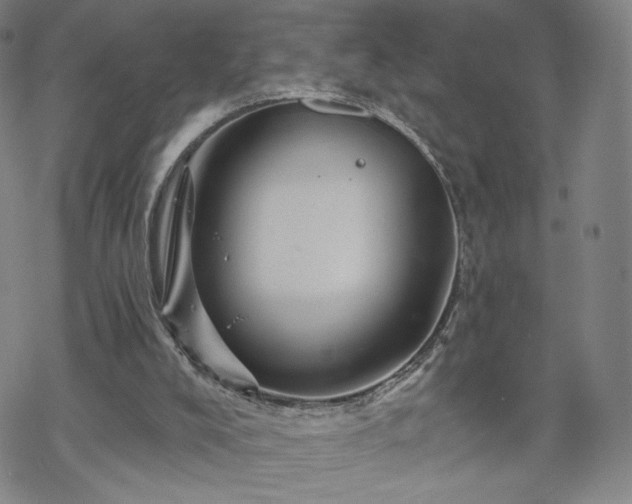 X0000070180008200606021044