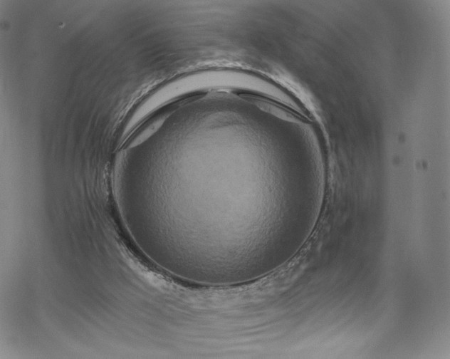 X0000070180009200606021044