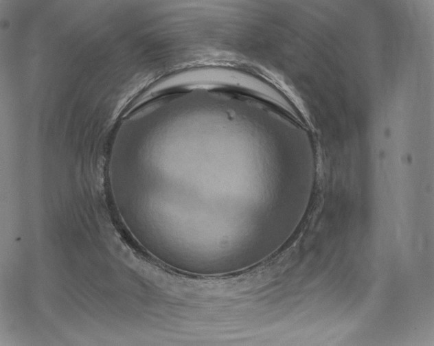 X0000070180010200606021044