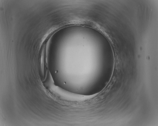 X0000070180011200606021044