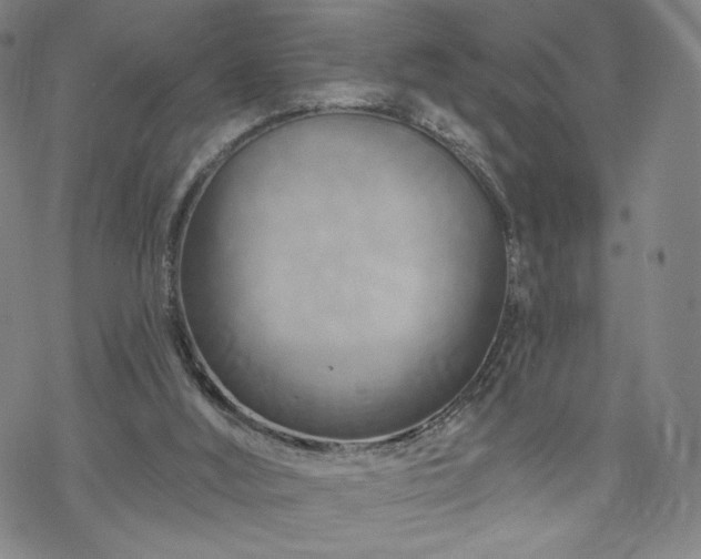 X0000070180012200606021044