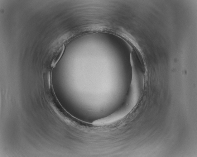 X0000070180013200606021044