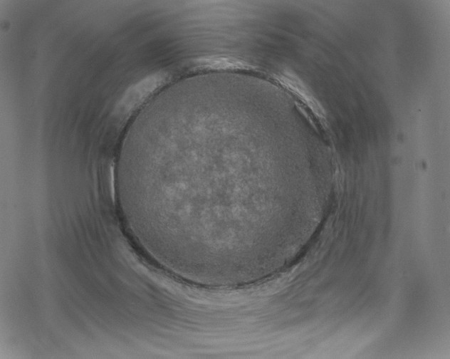 X0000070180014200606021044