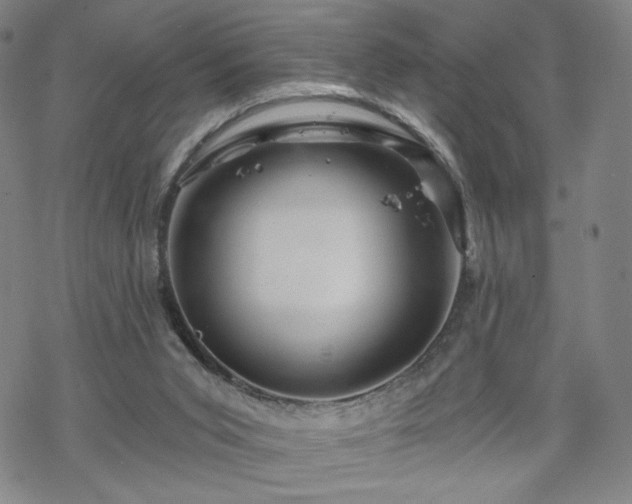 X0000070180015200606021044