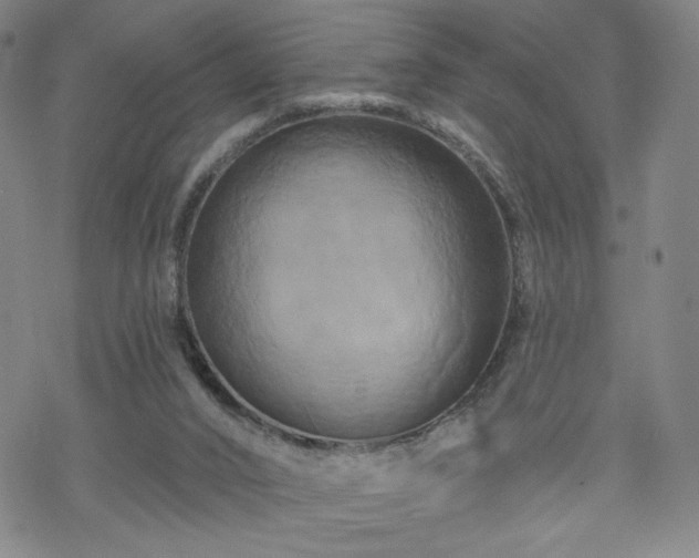 X0000070180016200606021044