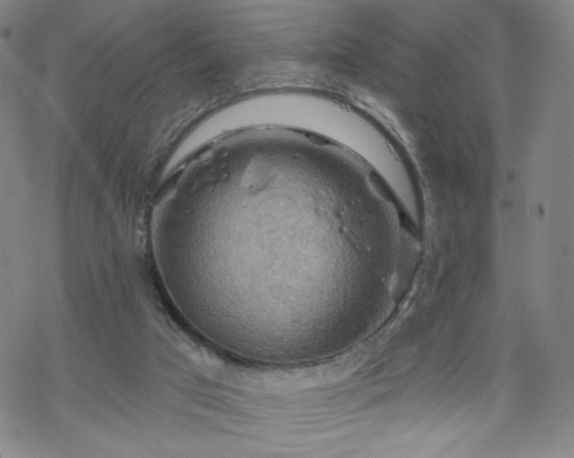 X0000070180017200606021044