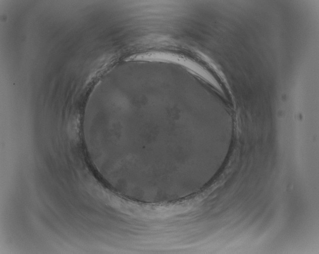 X0000070180018200606021044