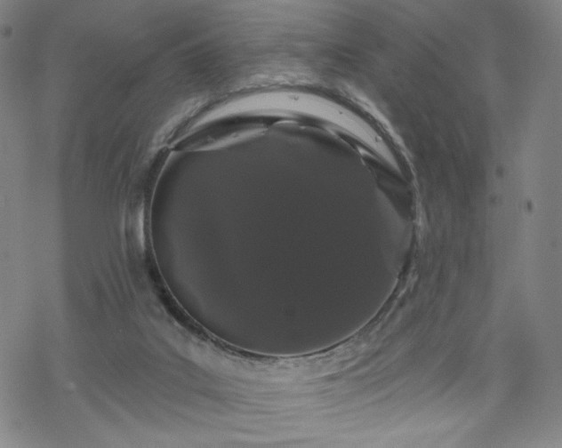 X0000070180019200606021044