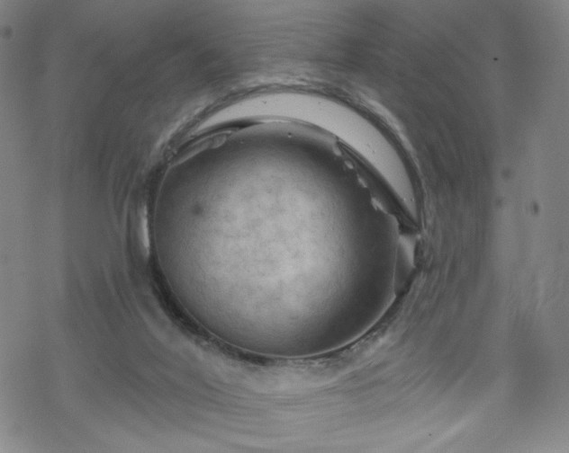 X0000070180020200606021044