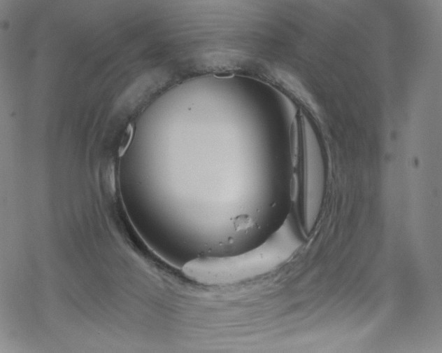 X0000070180021200606021044