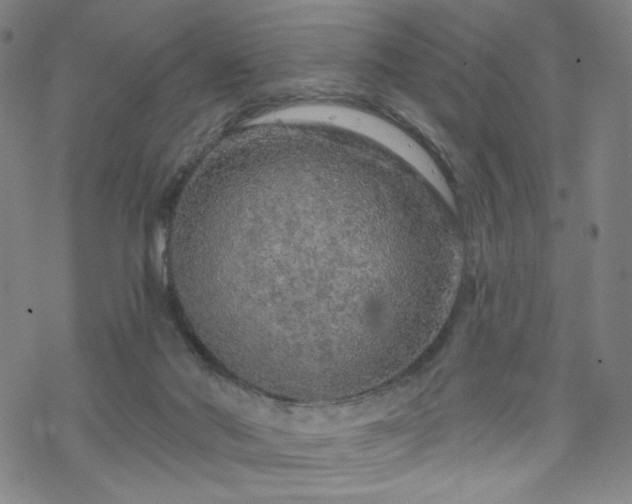 X0000070180022200606021044