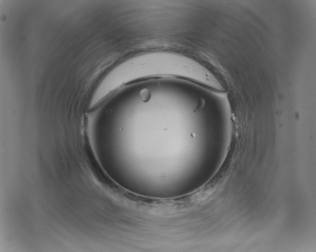 X0000070180024200606021043