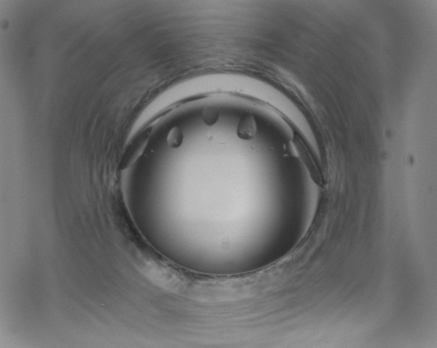 X0000070180025200606021043