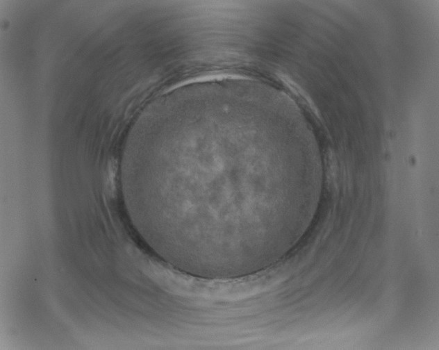 X0000070180026200606021043