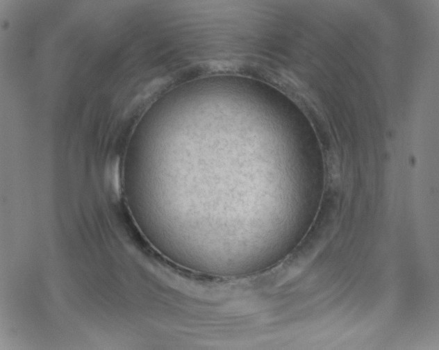 X0000070180028200606021043