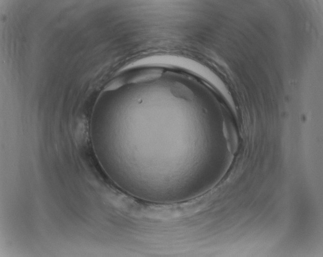 X0000070180029200606021043