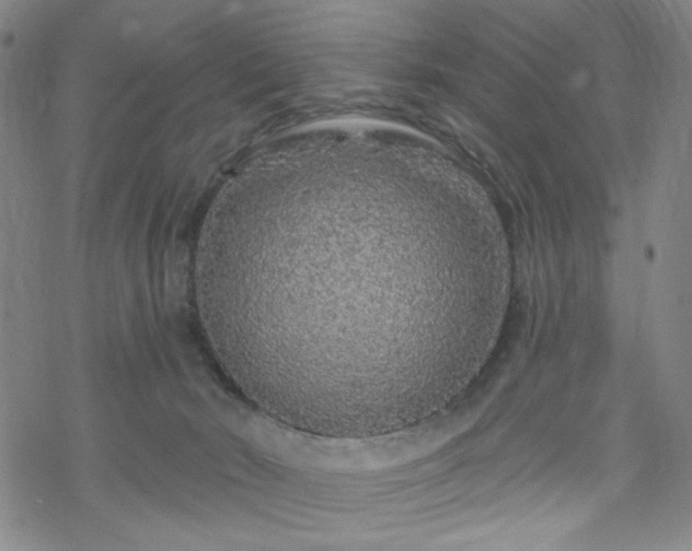 X0000070180030200606021043