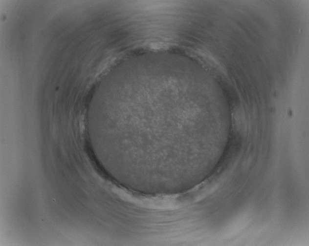 X0000070180032200606021043