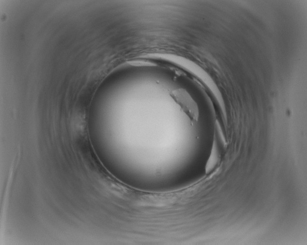 X0000070180033200606021043