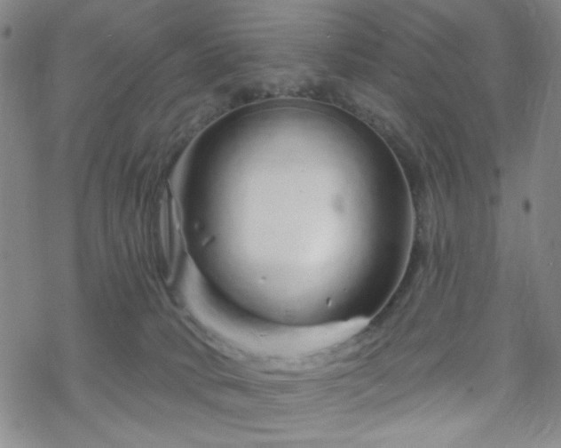 X0000070180034200606021043