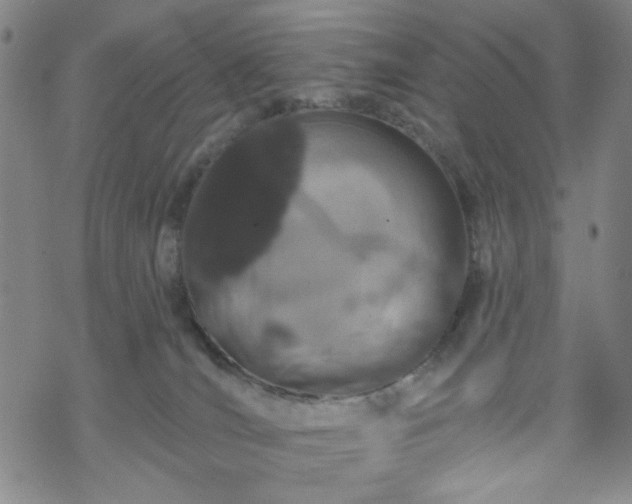 X0000070180036200606021043