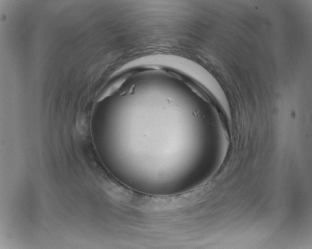 X0000070180037200606021043