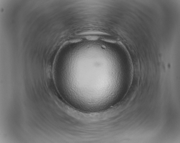 X0000070180038200606021043