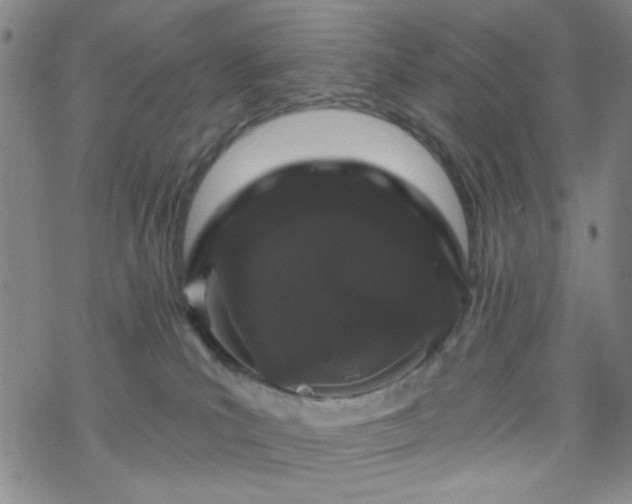 X0000070180039200606021043