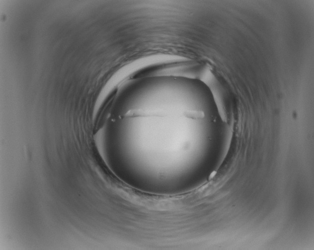 X0000070180040200606021043