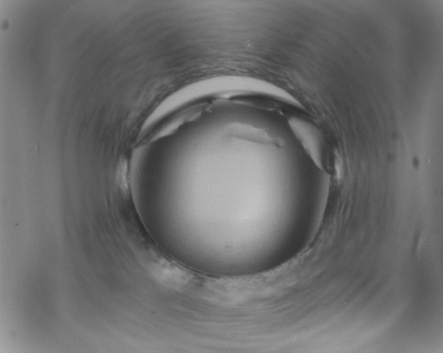 X0000070180041200606021043