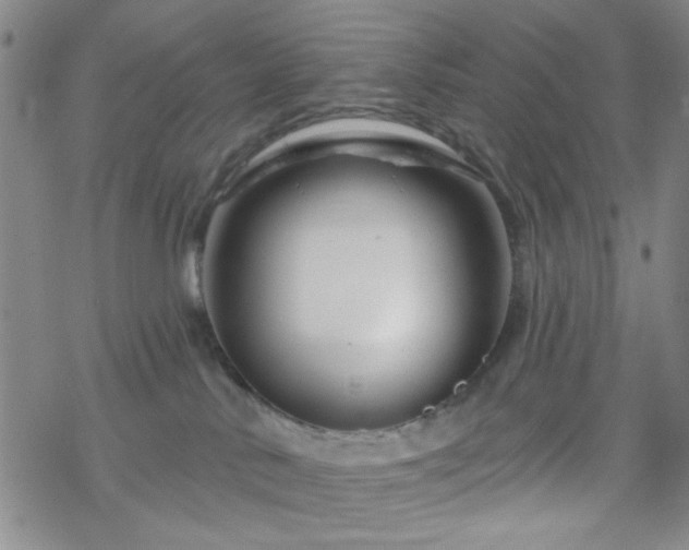 X0000070180042200606021043