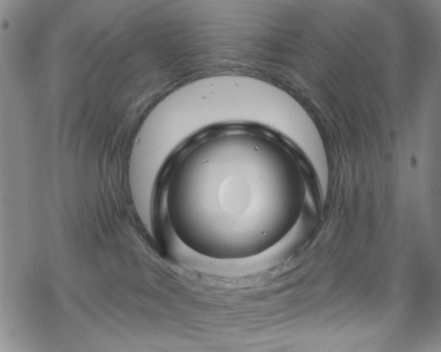 X0000070180043200606021043