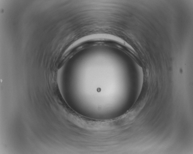 X0000070180044200606021043