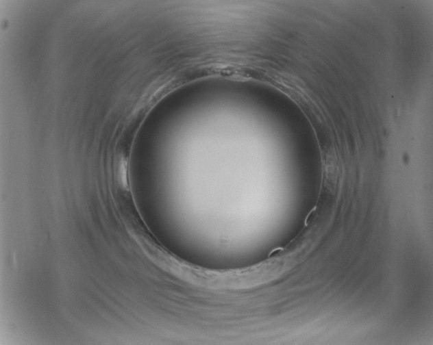 X0000070180046200606021043