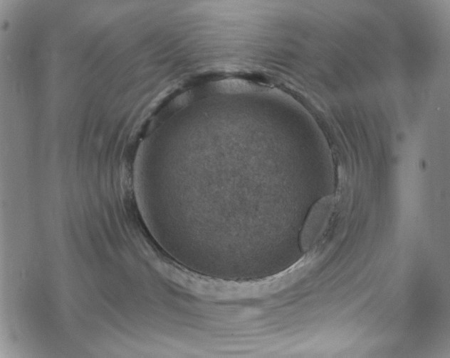 X0000070180048200606021043