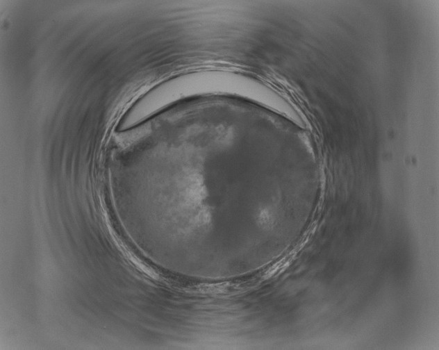 X0000070180049200606021042