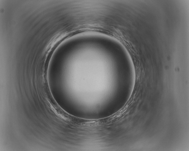 X0000070180050200606021042