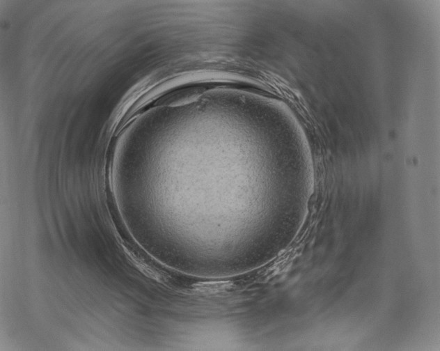 X0000070180051200606021042